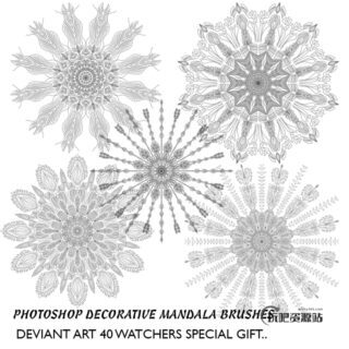 漂亮的万花筒式花纹图案Photoshop笔刷下载-玩吧资源站