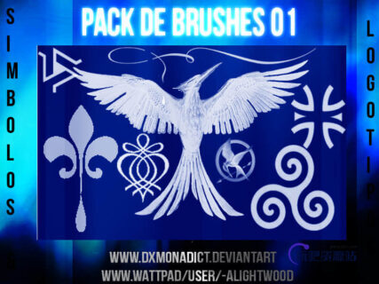 鹰图案、花纹饰品Photoshop另类装饰笔刷-玩吧资源站