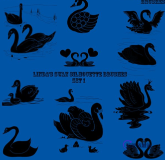 天鹅、鸳鸯Photoshop爱情笔刷-玩吧资源站