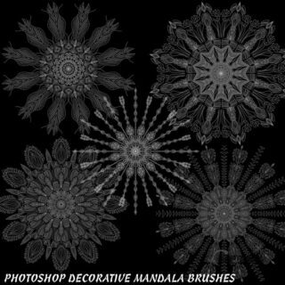 5种曼荼罗式漂亮复合花纹图案PS笔刷下载-玩吧资源站