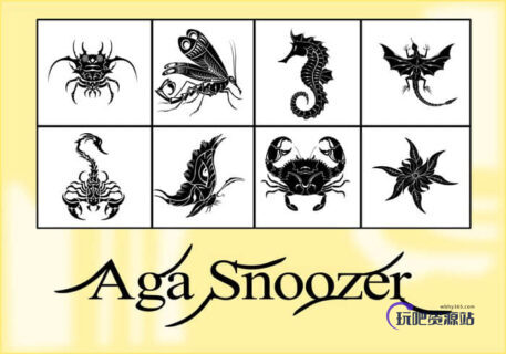 8种精美的创意生物纹饰图形Photoshop自定义形状素材-玩吧资源站