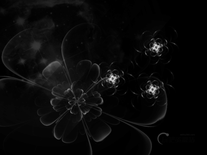 晶莹剔透光影花朵、鲜花Photoshop图案笔刷素材-玩吧资源站