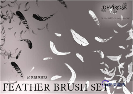 羽毛飘落的效果图案Photoshop笔刷素材-玩吧资源站