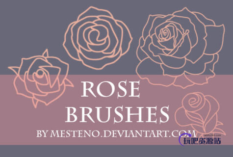 漂亮的玫瑰花线框图形Photoshop笔刷素材-玩吧资源站