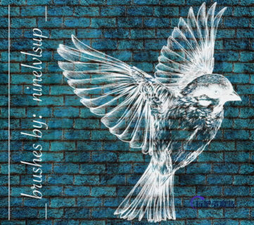 飞鸟、小鸟版刻印刷图案PS笔刷素材下载-玩吧资源站