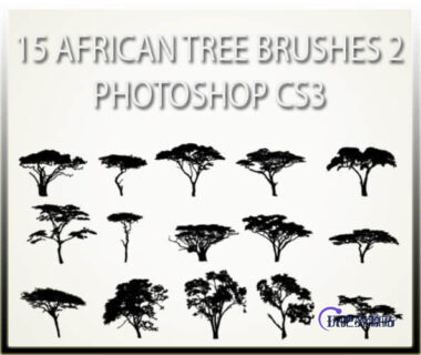 15种非洲草原树木剪影图形PS笔刷素材-玩吧资源站