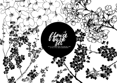 满枝头樱花图案PS版刻印刷花纹笔刷-玩吧资源站