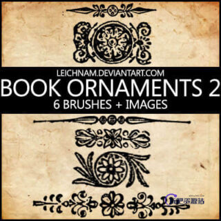 6种古典印花、花纹纹饰图案PS笔刷素材下载-玩吧资源站