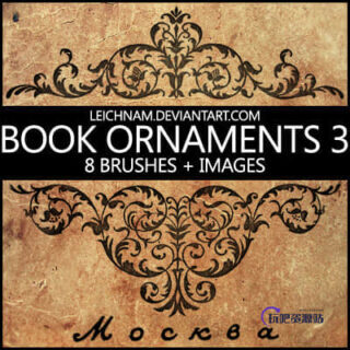 高贵的印染式植物花纹图案Photoshop笔刷素材下载-玩吧资源站