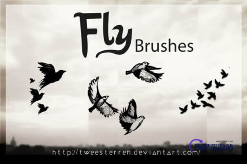 飞鸟Photoshop笔刷下载-玩吧资源站
