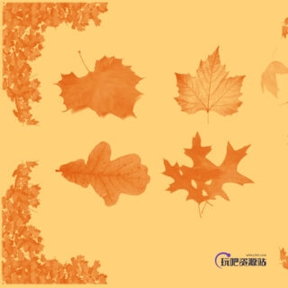 秋天落叶、梧桐叶、枫叶Photoshop枯叶笔刷下载-玩吧资源站