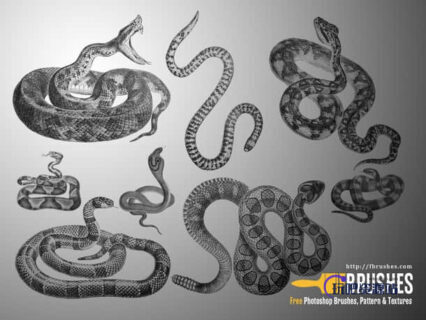 毒蛇、眼镜蛇、银线蛇、响尾蛇Photoshop蛇笔刷素材-玩吧资源站