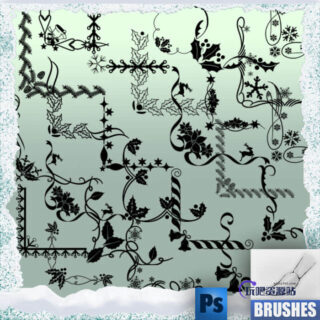 圣诞节植物花纹边角Photoshop边框笔刷-玩吧资源站
