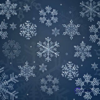 圣诞节经典雪花花纹图案Photoshop笔刷下载-玩吧资源站