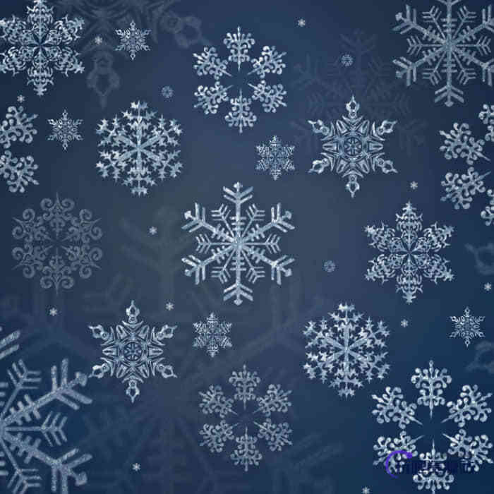 圣诞节经典雪花花纹图案Photoshop笔刷下载