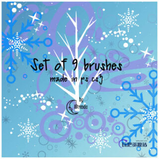 圣诞节雪花花纹、圣诞纹饰图案Photoshop装饰笔刷-玩吧资源站