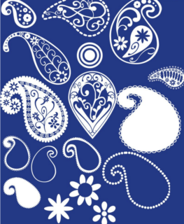 漂亮的佩斯利植物花纹Photoshop笔刷下载-玩吧资源站