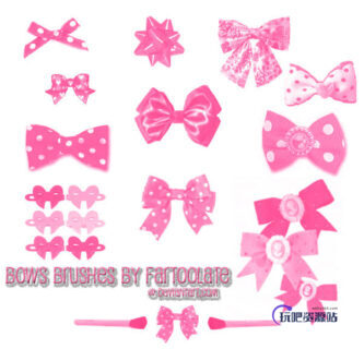 真实女性蝴蝶结饰品Photoshop笔刷素材下载-玩吧资源站