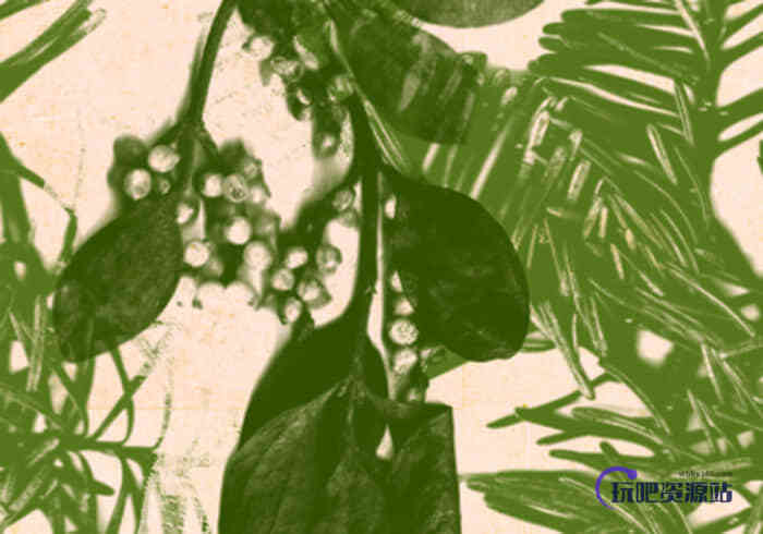 Photoshop CS5绿色植物叶子笔刷下载