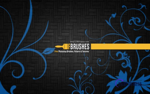 漂亮的葡萄藤蔓植物花纹图案Photoshop笔刷下载-玩吧资源站