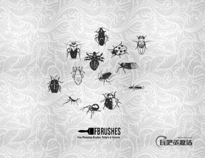 瓢虫、臭虫、蜘蛛Photoshop昆虫笔刷下载-玩吧资源站