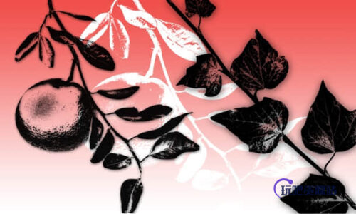 植物树枝版刻图案Photoshop笔刷下载-玩吧资源站