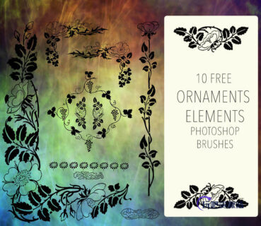 漂亮的欧式贵族植物花纹图案PS笔刷下载-玩吧资源站