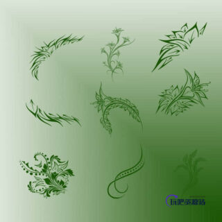 独立的优美艺术花纹图案Photoshop植物花纹笔刷-玩吧资源站