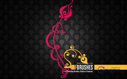 漂亮的玫瑰花花蕊植物花纹Photoshop笔刷下载-玩吧资源站