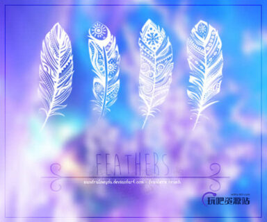 艺术羽毛效果PS笔刷下载-玩吧资源站
