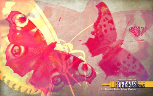 蝴蝶飞蛾PS笔刷下载-玩吧资源站
