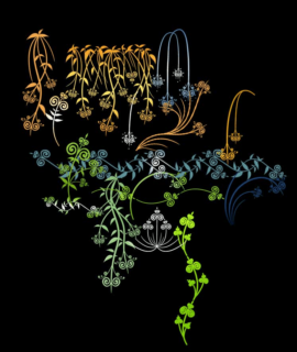 漂亮的手绘式植物花纹图案、枝条纹饰、柳条图案Photoshop笔刷-玩吧资源站