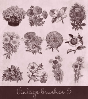复古式手绘鲜花、花朵Photoshop笔刷下载-玩吧资源站