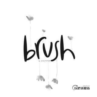 4种睡莲中国水墨画PS笔刷下载-玩吧资源站