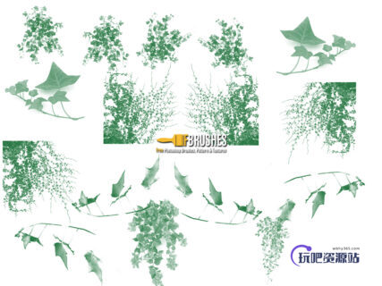 常青藤植物叶子、藤蔓PS笔刷下载-玩吧资源站