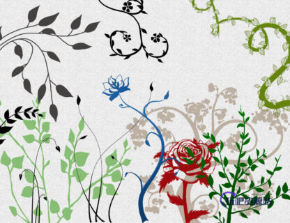 漂亮的艺术植物花纹图案Photoshop笔刷素材下载-玩吧资源站