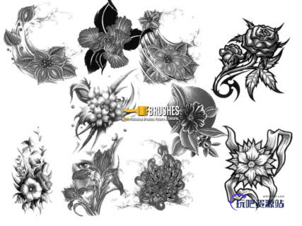 手绘素描式花朵、鲜花图案PS笔刷下载-玩吧资源站