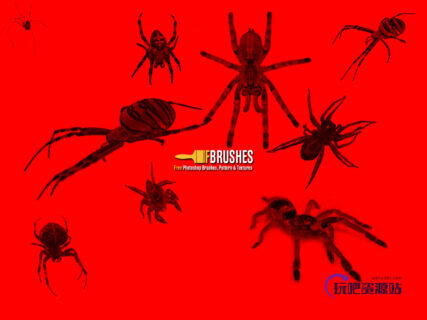 真实恐怖蜘蛛、狼蛛、黑寡妇蜘蛛Photoshop笔刷下载-玩吧资源站