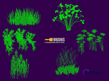 6种小草Photoshop草丛笔刷-玩吧资源站