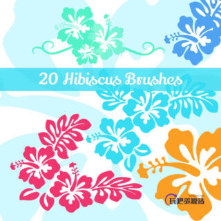 20种美丽的芙蓉花花纹、印花图案PS笔刷下载-玩吧资源站
