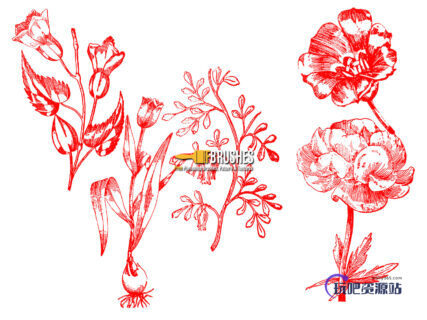 复古式植物鲜花图案、版刻花纹PS笔刷下载-玩吧资源站