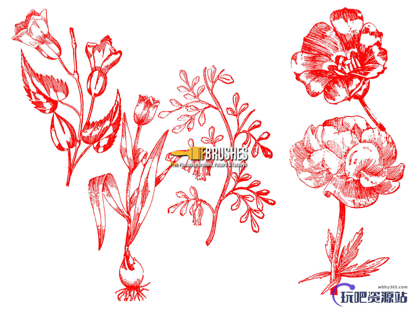 复古式植物鲜花图案、版刻花纹PS笔刷下载
