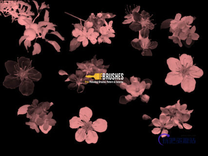 苹果花朵、鲜花PS笔刷下载-玩吧资源站