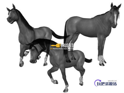 骏马、马匹PS笔刷素材-玩吧资源站