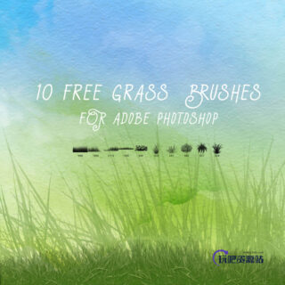 10个免费的绿色小草、青草、草坪Photoshop笔刷下载-玩吧资源站