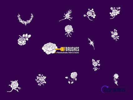 玫瑰花花纹、印花、植物花纹图案Photoshop笔刷下载-玩吧资源站