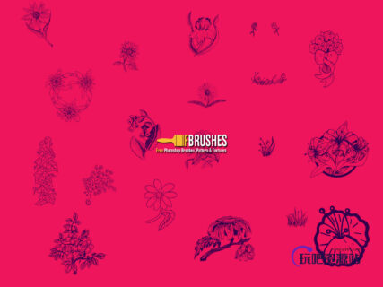 漂亮的手绘花卉图案、花朵图案Photoshop笔刷下载-玩吧资源站