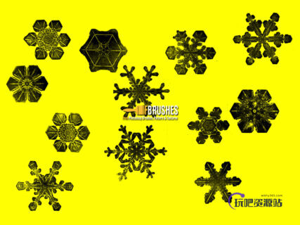 放大的雪花、冰晶图案Photoshop笔刷下载-玩吧资源站