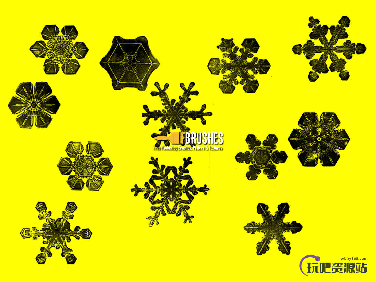 放大的雪花、冰晶图案Photoshop笔刷下载
