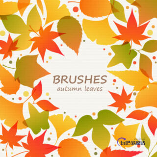 秋天落叶、树叶Photoshop笔刷素材下载-玩吧资源站